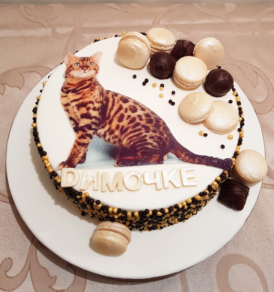 Мужской торт 8564